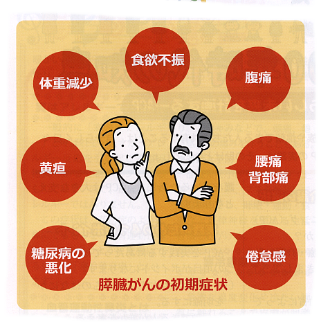 膵臓がん　イラスト